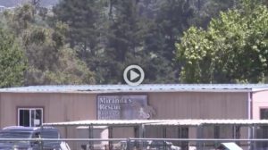 The Truth About Fake Rescue - Fox 12 News Article
