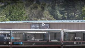 The Truth About Fake Rescue - KRCR News Article