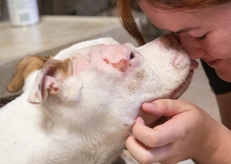 Woman kissing an abused dog