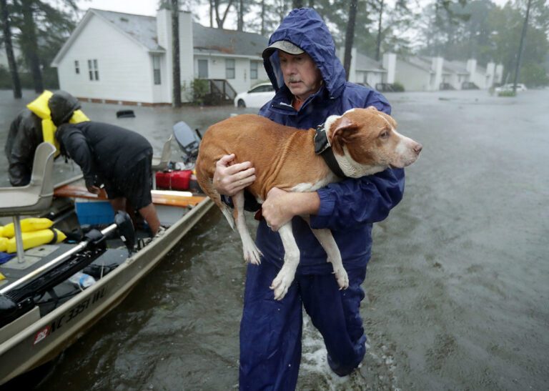 Man carrying dog